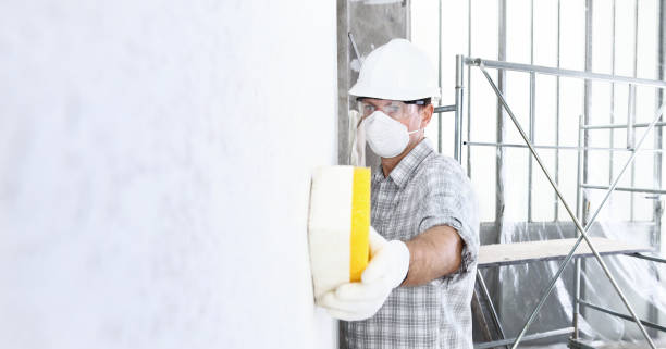 Best Mold Prevention Services in Caldwell, ID