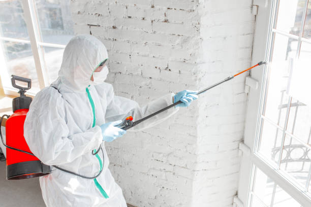 Why You Should Choose Our Mold Remediation Services in Caldwell, ID