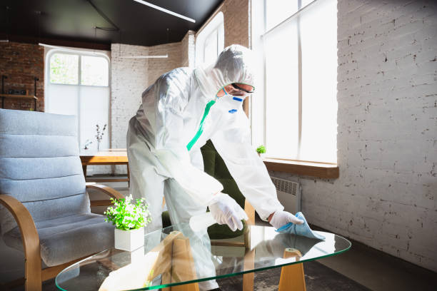 Professional Mold Removal in Caldwell, ID